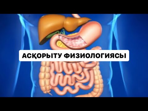 Видео: Асқорыту физиологиясы