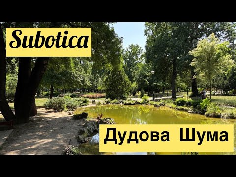 Видео: Суботица. Дудова Шума. Парк В Суботица. Сербия. Переезд В Сербию На ПМЖ. Subotica. Dudova Suma