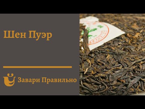 Видео: Как правильно заварить Шен пуэр?
