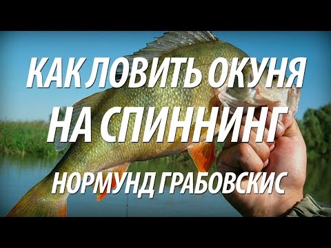 Видео: КАК ЛОВИТЬ И ПОЙМАТЬ ОКУНЯ НА СПИННИНГ. ЛЕТНЯЯ РЫБАЛКА С НОРМУНДОМ ГРАБОВСКИСОМ НА ОКУНЯ В АВГУСТЕ