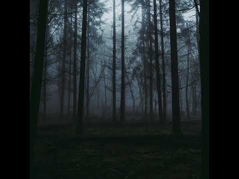 Видео: Кот - Почему молчат твои глаза SpeedUp