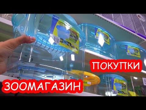 Видео: Зоомагазин МНОГО покупок