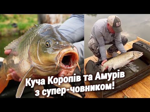 Видео: Рибалка восени на КОРОПА та АМУРА!