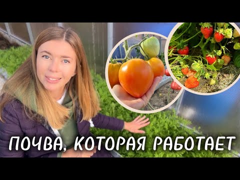 Видео: СЕКРЕТЫ ЗДОРОВОЙ ПОЧВЫ: как увеличить плодородие ваших грядок