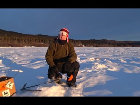 Видео: Рыбалка в глухозимье на Аляске.Лёд 90 см.