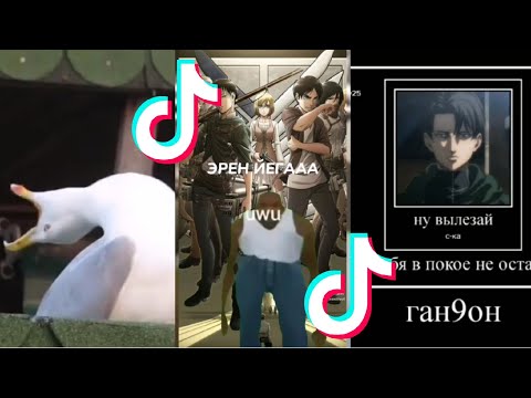 Видео: АТАКА ТИТАНОВ МЕМЫ ИЗ ТИКТОКА #атакатитанов