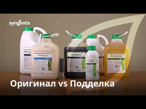 Видео: Оригинал или подделка