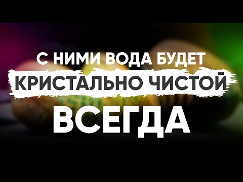 Видео: С ними вода в аквариуме будет всегда кристально чистой