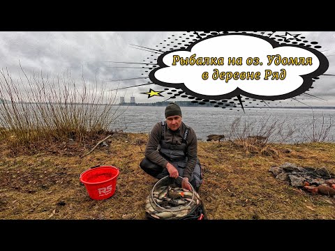 Видео: Сумасшедшая рыбалка в Удомле. Лютые поклевки. Деревня Ряд.