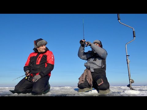 Видео: Офігеть, пройшли 5 км, щоб відчути удар судака! Зимова рибалка на морі!
