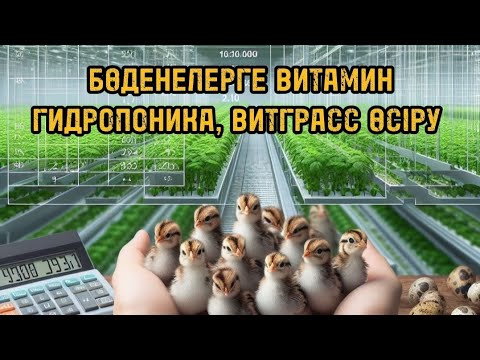 Видео: Гидропоника, витграсс өсіру. Бөдене бизнесі. Бөдене саласы.