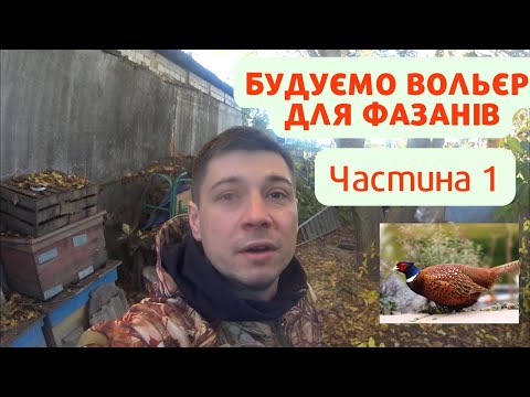 Видео: Будуємо вольєр для фазанів - Частина 1