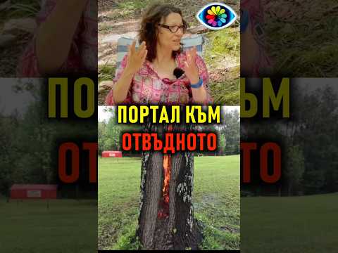 Видео: ПОРТАЛ КЪМ ОТВЪДНОТО