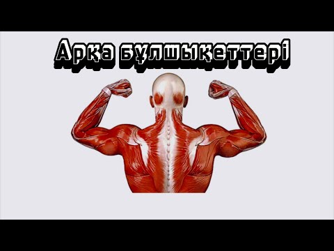 Видео: Арқа бұлшықеттері. Арқаның беткей орналасқан бұлшықеттері.