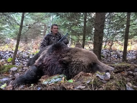Видео: ОХОТА НА МЕДВЕДЯ С ЛАЙКАМИ В ТАЙГЕ ЮЖНОГО УРАЛА