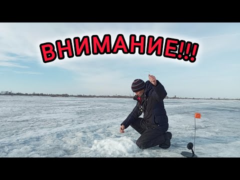 Видео: Такого улова я не ожидал! Что за монстр попался?!!