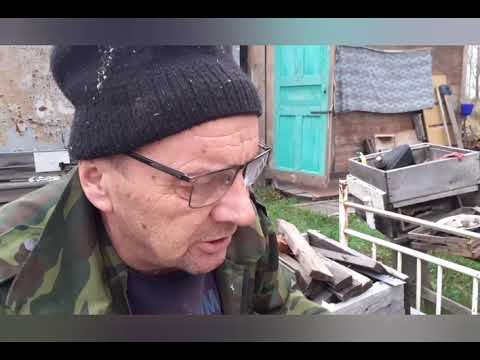 Видео: Контрольная обработка пчелосемьи "бипином" после " щавельки".