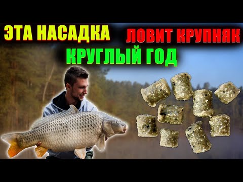 Видео: Насадка для рыбалки на КАРПА, КАРАСЯ, ЛЕЩА. НЕ СЛЕТАЕТ С КРЮЧКА. Фидер, донка, поплавок.