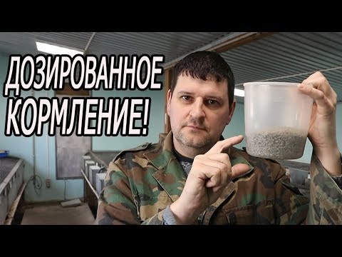 Видео: ДОХНУТ КРОЛИКИ на дорогих кормах!!