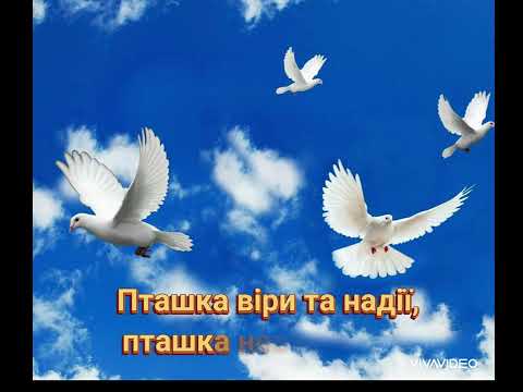 Видео: Пісня "Голуб миру"музика Алевтина Нюкало,слова Інна Карауш.