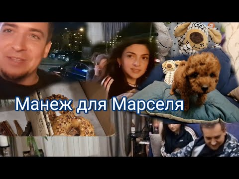 Видео: Покупки для Марселя/ Манежик и не только...