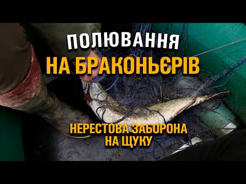 Видео: ПОЛЮВАННЯ НА БРАКОНЬЄРІВ ПІД ЧАС НЕРЕСТУ. РЕЙД З РИБОХОРОНОЮ НА РІЧЦІ ГОРИНЬ.