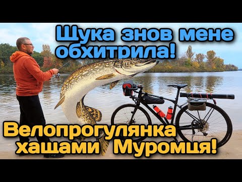 Видео: Щука знов мене обхитрила! Велопрогулянка хащами Муромця!
