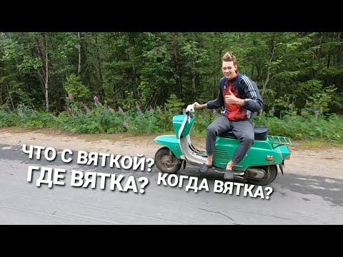 Видео: ОЖИВИЛИ ВЯТКУ СПУСТЯ ГОД ПРОСТОЯ! ЧТО С НЕЙ ДЕЛАТЬ?