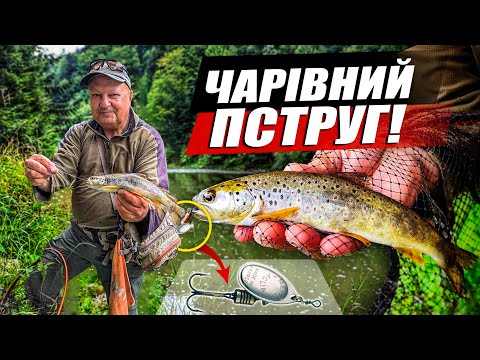 Видео: Риболовля в Карпатах. Форель на спінінг в гірській річці. Crazy Fish Alpha 662XULS