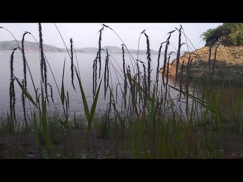 Видео: с. Усть-Ерба, п. Климаниховский, д. Черемушка, с. Знаменка  (Боградский район, Хакасия) 2023г