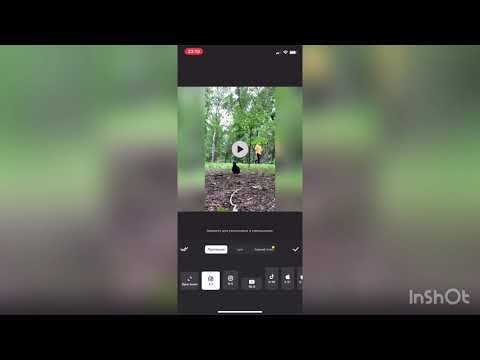 Видео: Программа Inshot. Инструкция.