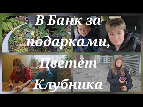 Видео: Пришли осенние туманы,Закупка,Блины с творогом 
