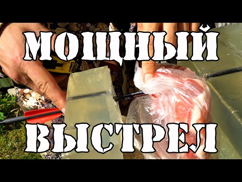 Видео: Охота на кабана с арбалетом Подготовка
