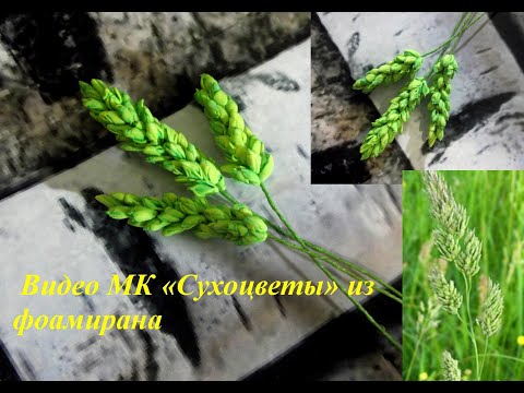 Видео: Сухоцветы из фоамирана