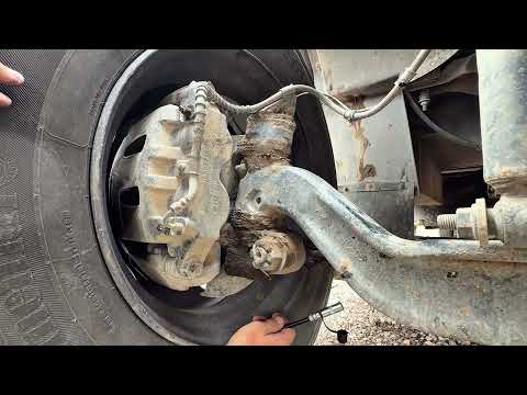 Видео: Техническое обслуживание Уолдена и наблюдение за скопами