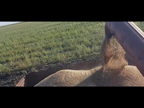 Видео: Жизнь в селе#Казахстан#Выехали на уборку.День первый.