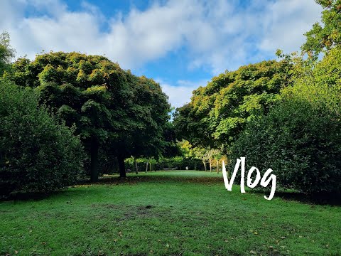 Видео: Vlog// Никакого разнообразия. Английский завтрак. Идём в новый парк