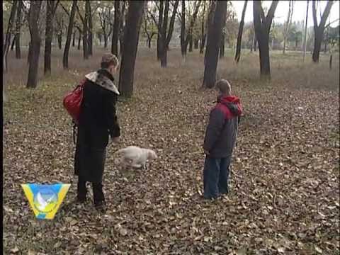 Видео: 29.10.11 Непридуманные истории