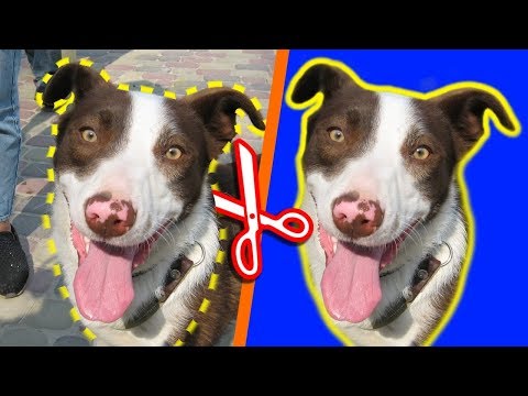 Видео: КАК ВЫРЕЗАТЬ ЛЮБЫЕ ОБЪЕКТЫ В PAINTNET БЕЗ PHOTOSHOP