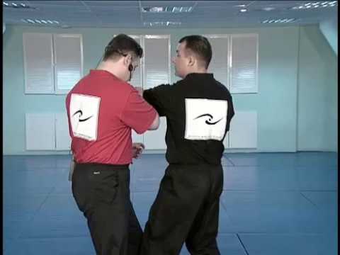 Видео: Вин Чун - техника и тактика боя