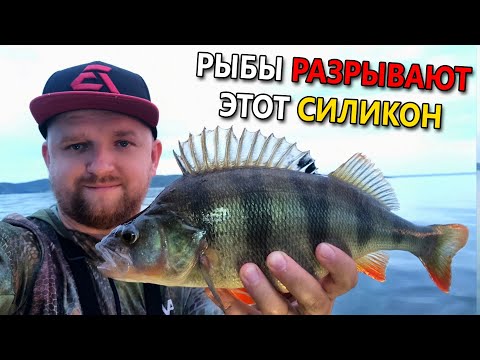Видео: РЫБА В ШОКЕ ОТ ЭТИХ ПРИМАНОК - РВУТ В КЛОЧЬЯ! ОКУНИ ДИНОЗАВРЫ! Ловля судака на джиг на спиннинг 2020