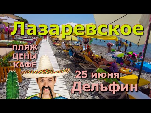 Видео: Лазаревское пляж Дельфин 25 июня 2024, Лазаревское сегодня, Лазаревское набережная влог обзор