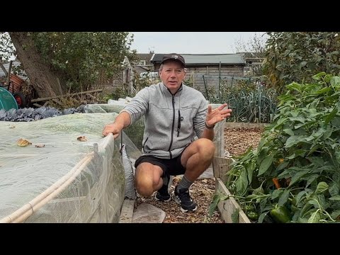 Видео: Все изменения ~ пересадка участка и подготовка к обильной зиме ~ октябрьский тур