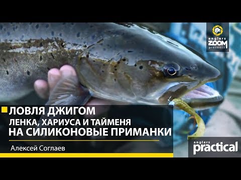 Видео: Ловля джигом ленка, хариуса и тайменя на силиконовые приманки. Алексей Соглаев. Anglers Practical