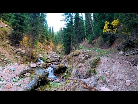 Видео: очень красивые места в горах неподалеку от Алматы