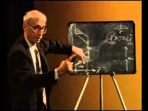 Видео: 79  Эволюционная теория пола