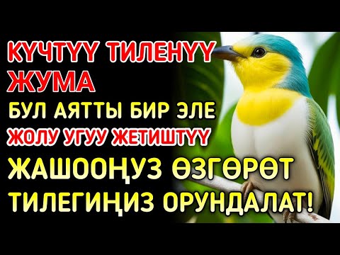Видео: Жума күнүндөгү ЭҢ КҮЧТҮҮ ДУА! Бардык каалоолор кабыл болот! БАЙЛЫК, ПАЙДА ЖАНА БААКЫТ 🌙✨