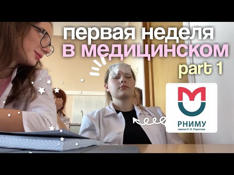 Видео: первая неделя в медицинском PART 1 🩺 РНИМУ им. Пирогова | дз, тесты и отработки