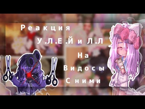 Видео: 🎥Реакция У.Л.Е.Й и Л.Л на видео+Их жизнь🔮//Моя АУ// УльСтив,УльЙоши,ЛаЕва // Чит.Закреп.//