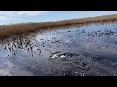 Видео: В поисках рыбалки (Самарская обл, Копылово/Бирля)